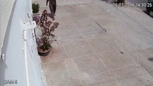 (+فيديو)كاميرا ترصد لصا يسرق دراجة هوائية من منزل بإنزكان دون أن يشعر به أحد