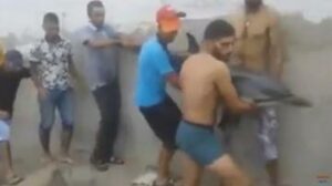 مؤثر:شباب مغاربة ينقذون دلفينا !! و يعيدونه للبحر !!