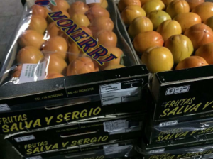 حجز كميات مهمة من المواد الفلاحية المهربة كانت في طريقها إلى أسواق أكادير