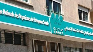 الكنوبس