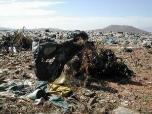 فيلم تربوي جديد بأكادير بمناسبة لقاء مراكش حول المناخ