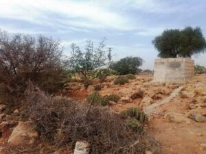 دواوير باشتوكة تعيش بلا ماء وسط استياء عارم بين السكان