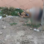 هزة أرضية قوتها 2.6 درجة على سلم “ريشتر” تسجل بهذا الإقليم .
