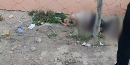 رائحة كريهة تقود لاكتشاف جثة بائع متجول داخل منزله رائحة كريهة تقود لاكتشاف جثة بائع متجول داخل منزله