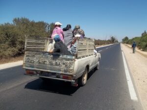 رجال الشرطة بتارودانت يتنكرون في زي “فلاحة” على متن عربات فلاحية ويطيحون بعصابة المخدرات وزبنائها