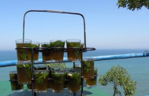 الشاي الأخضر يخفف تلف الكلي الناجم عن تناول عقاقير طبية