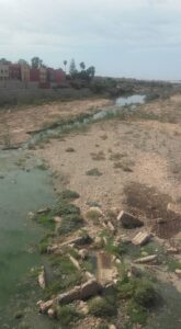 من جديد : ساكنة أيت ملول تحت رحمة الروائح الكريهة المنبعثة من واد سوس