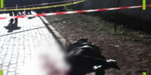 مؤسف.(+فيديو):شابة تزهق روح صديقتها “انتقاما” بسبب الطرد من شقة الكراء