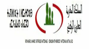 مترشح بجامعة ابن زهر بأكادير يوجه رسالة قوية لمؤسسة التعاون الوطني