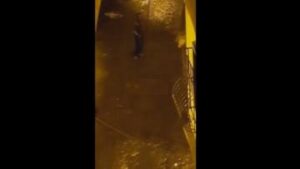 خطير:”مشرمل” يروع المواطنين بسيف كبير