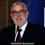 تارودانت: عضة قط تنهي حياة طفل بطريقة بشعة