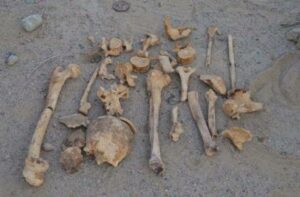 خطير:توقيف”فقيه” احترف التجارة في عظام الموتى