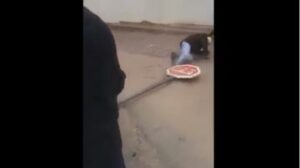 مهزلة:مواطنون يستغيثون بعلامة قف من أجل عبور ممر