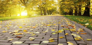 فصل الخريف وانتشار الأمراض والوقاية والعلاج