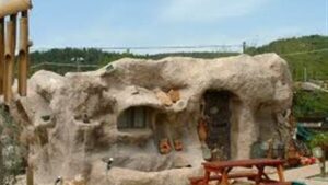 20 بيتا لا تدخلها الملائكة….. هذه هي: