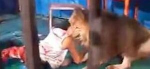 وفاة مدرب الأسود في “الإسكندرية”