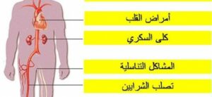 النظام الغذائي ونصائح هامة لمرضى السكري