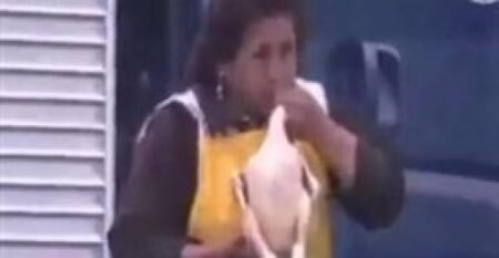 بالفيديو:تجار ينفخون الدجاج ليبدو أكبر حجما قبل البيع بالفيديو:تجار ينفخون الدجاج ليبدو أكبر حجما قبل البيع