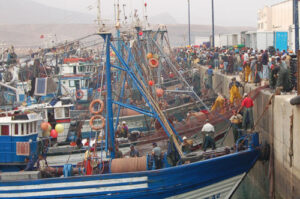 استئناف نشاط الصيد الصناعي بالموانئ الجنوبية