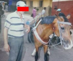 مشمئز(+صورة):وحش بشري يغتصب أنثى حصان و يضربها بالسلاح الأبيض