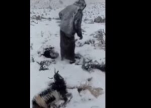 سقوط عدد من الضحايا إثر حادث انهيار سقف أحد الأندية الرياضية بمدينة باهيا بلانكا.