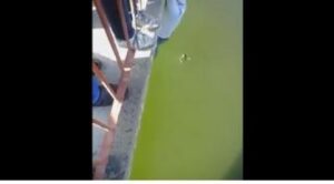 عمل بطولي لشاب أنقذ حياة فتاة بعدما لاحت راسها من فوق قنطرة واد