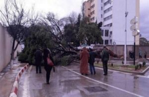 الرياح القوية تقتل سيدة، وابنها ينشر صورته معها وهي جثة هامدة