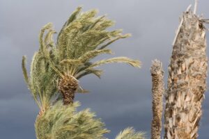 نشرة خاصة:رياح قوية اليوم وغدا تصل سرعتها إلى 85 كلم/الساعة