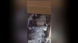 آخر ما كاين في طرق السرقة