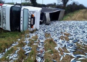 عااجل:شاحنة محملة بالسردين تنقلب بطريقة غريبة بتيزنيت وتتسبب في حادث مروع