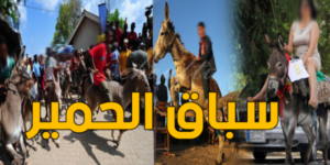 سابقة:جمعية بتيزنيت تنظم سباقا للحمير