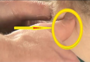 اضغط على هذه المنطقة وشاهد النتيجة لن تتوقعها