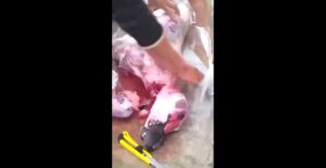 +فيديو خطير:شاب يلتقط عملية دبح حمار و كلب استعدادا لتسويق لحومهما للمواطنين