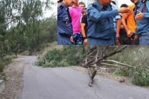 الدرك الملكي يستدعي دوارا كاملا..ونساء حوامل بسبب قطعة غصن