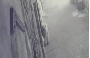 سحَار شداتو الكاميرا يمارس شعوذته امام بزار معروف