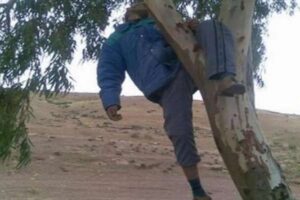 العثور على جثة رجل معلقة بشجرة بالمدار السياحي والأمن يحقق