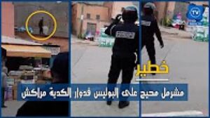 شوفو مشرمل محيح على البوليس