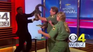 مذيع يرى الموت أمام عينيه على الهواء مباشرة!