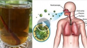 الحل السحري لتنظيف الرئة للأبد: وداعاً للسعال