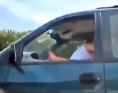 تيزنيت تهتز على وقع فضيحة جنسية بطلها مسؤول بمديرية الفلاحة مارس الجنس على شاب داخل سيارة الدولة