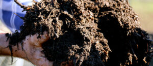 صادم:براز بشري لتسميد أرض ضيعة فلاحية والروائح الكريهة المنبعثة من المكان سبب الفضيحة