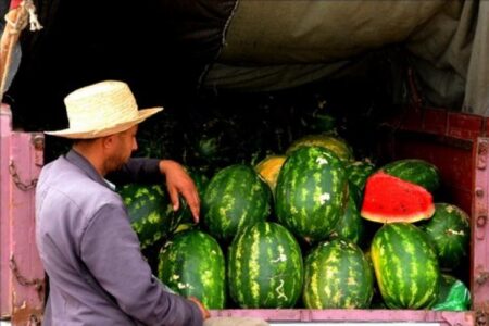 دلاح استعمل في زراعته براز بشري في طريقه إلى الأسواق
