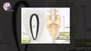 تعرف على العضو الوحيد الذي لا يموت ويبقى في القبر ومنه يعود للحياة بعد الموت