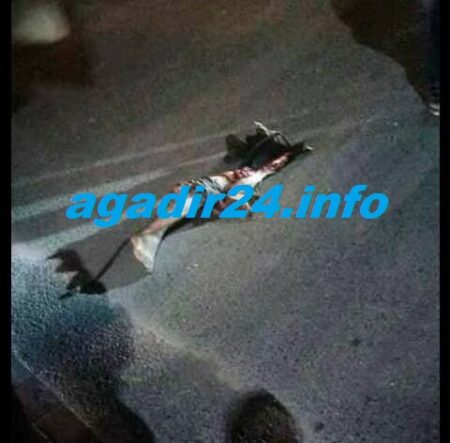 العثور على رجل آدمية مبثورة تستنفر سلطات القليعة