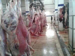 جزارون بأكادير يستنكرون سياسة الصمت وتجاهل السلطات لمشاكلهم وينتفضون ضد اللحوم المستوردة من خارج عمالة اكادير إداوتنان