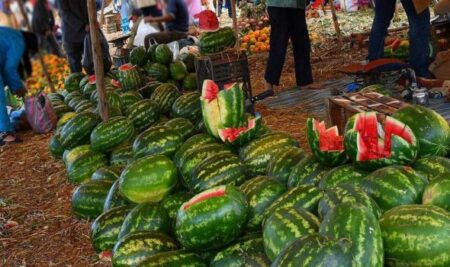 فضيحة "دلاح البراز البشري" دخل للبرلمان وتسبب في انهيار أسعار الدلاح بالأسواق الكبرى