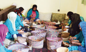 تعاونيات الأركَان بجهة سوس ماسة تحتح بشدة على محاولة دنيئة تستهدف تشتيت القطاع والتحكم فيه لأهداف سياسية ضيقة.