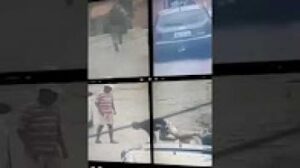 شاهد كلب يوقف لص في مطاردة مع الشرطة