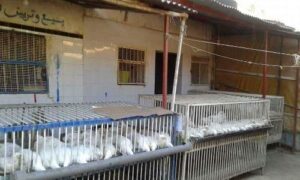 بالصور:إضراب في الحسيمة وتجار يهددون بإضراب لثلاثة أيام وحديث عن عصيان مدني