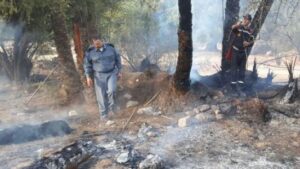 بالصور والفيديو:حريق يأتي على أزيد من 100 نخلة بتافراوت يستنفر السلطات